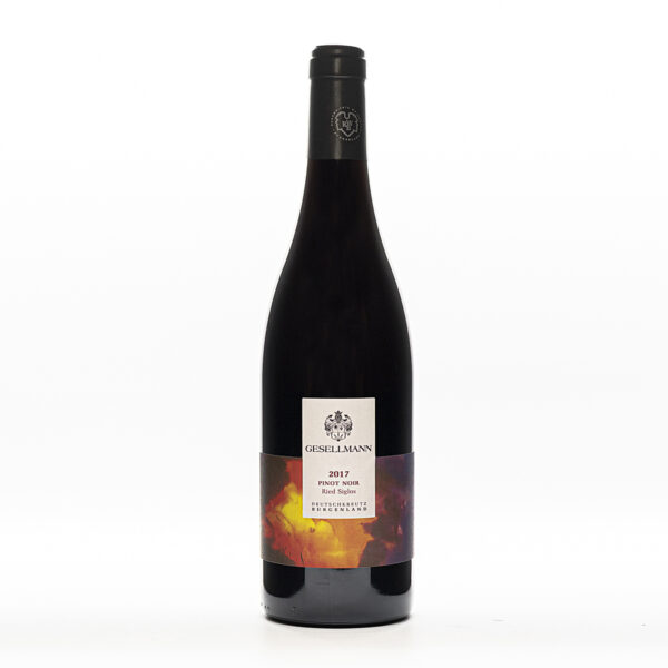 Sailers Vinothek - Wein aus Österreich - Pinot Noir - Siglos